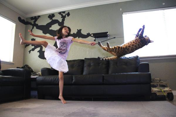 Лучше фотошопа: 17 фотографий, снятых точно вовремя (ФОТО)