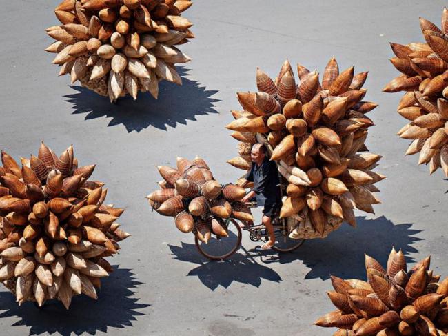 Лучшие снимки 2015 года по версии National Geographic (ФОТО)