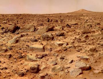 Исследователи NASA планируют выращивать на Марсе картофель