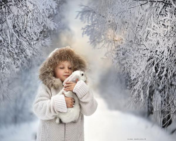 25 лучших фотографий по версии Flickr за 2015 год (ФОТО) 