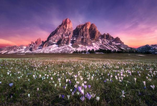 25 лучших фотографий по версии Flickr за 2015 год (ФОТО) 