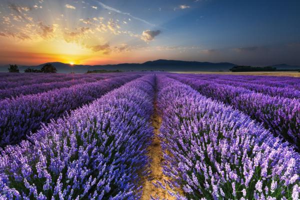 25 лучших фотографий по версии Flickr за 2015 год (ФОТО) 