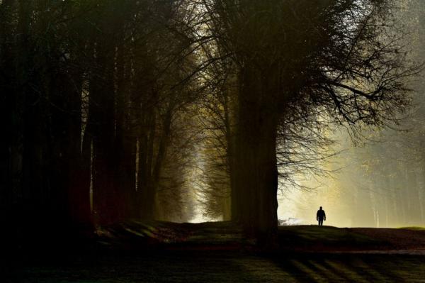 25 лучших фотографий по версии Flickr за 2015 год (ФОТО) 