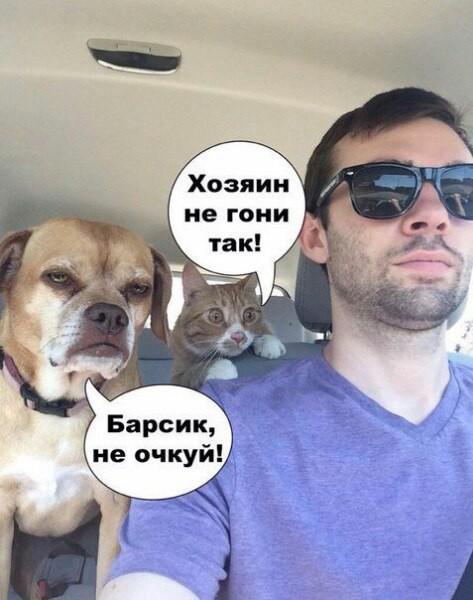 Новая подборка зимних автоприколов (ФОТО) Новая подборка зимних автоприколов (ФОТО)