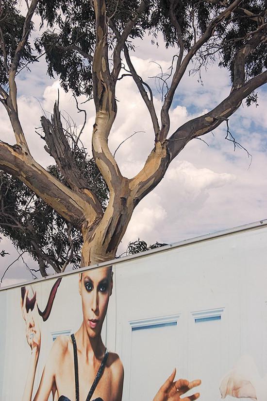 20 фотографий, сделанных с нужного ракурса (ФОТО)