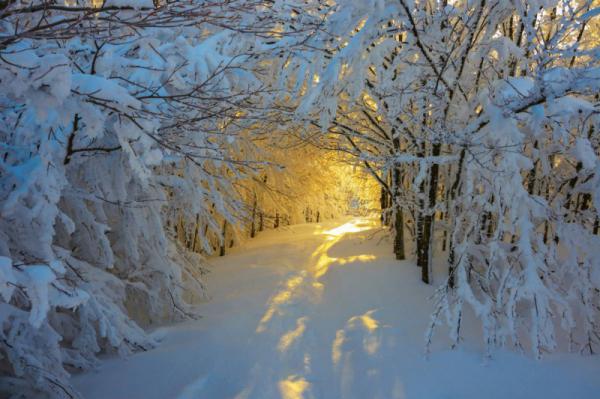 15 мест, где зима сказочно прекрасна (ФОТО)