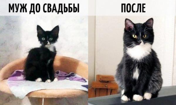 Как жизнь людей меняется после бракосочетания (ФОТО)