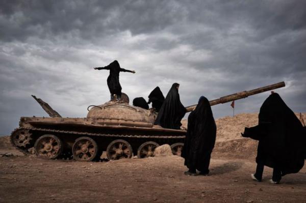 Все победители престижного конкурса National Geographic Photo 2015 (ФОТО)