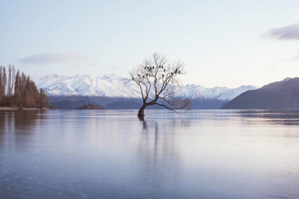 Красоты Новой Зеландии в фотографиях путешественника (ФОТО)