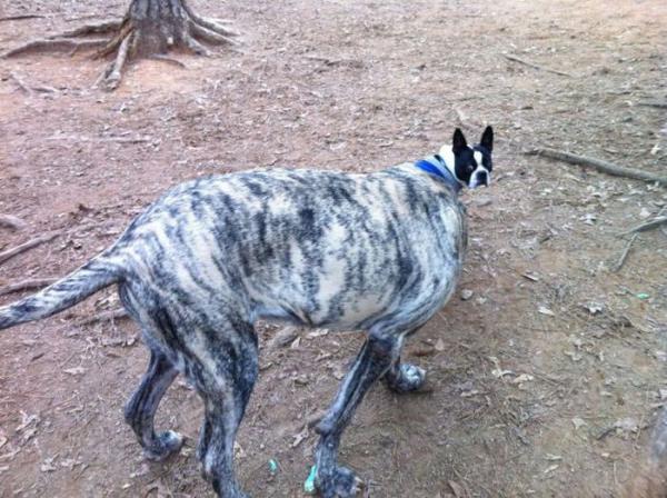 Подборка фотографий, при просмотре которых, не сразу веришь своим глазам (ФОТО) 