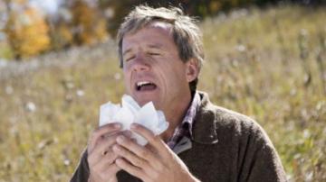 Американские ученые выяснили, что аллергия связана со стрессом