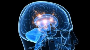 Ученые выявили механизмы, препятствующие лечению симптомов шизофрении