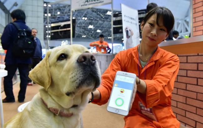 Японцы научились разговаривать с животными (ФОТО)