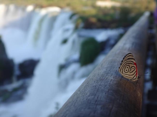 Над эффектностью этих снимков потрудилась сама природа (ФОТО)