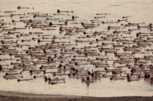 В защиту Мертвого моря. Голый флешмоб в Израиле (ФОТО)
