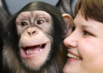 Исследователи: шимпанзе и люди одинаково доверяют своим близким