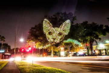 “Городское сафари”: необычный проект художника из Флориды (ФОТО)