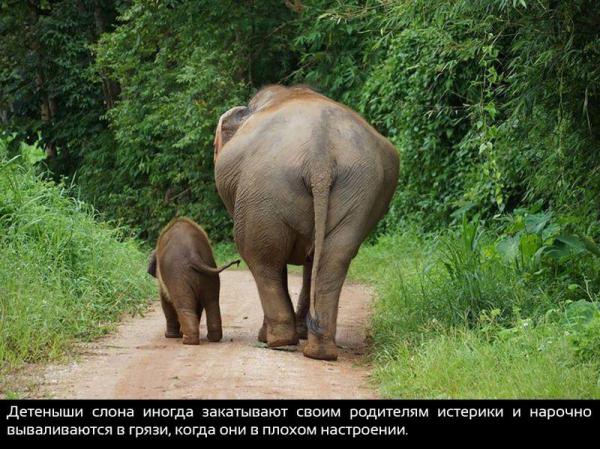 20 невероятных фактов о нашем мире, которые вас удивят (ФОТО)