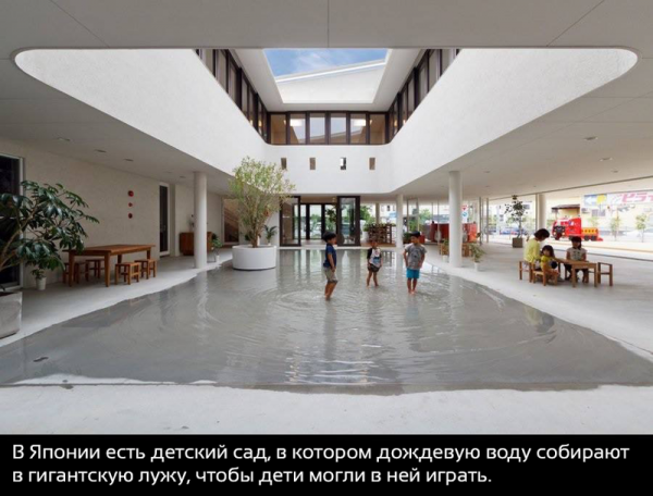 20 невероятных фактов о нашем мире, которые вас удивят (ФОТО)