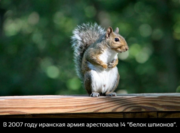20 невероятных фактов о нашем мире, которые вас удивят (ФОТО)