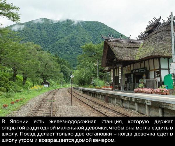 20 невероятных фактов о нашем мире, которые вас удивят (ФОТО)