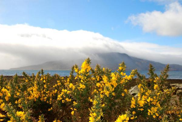 Красоты природы: самый сказочный остров Шотландии (ФОТО)