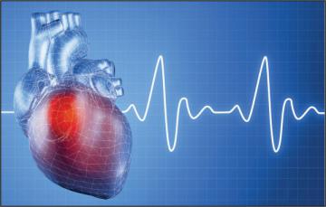 Ученые изобрели специальный ботокс для сердца