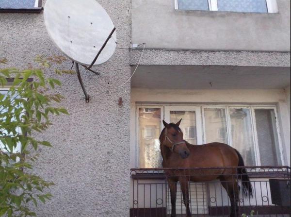 15 фотографий, при просмотре которых хочется спросить: как и зачем? (ФОТО)