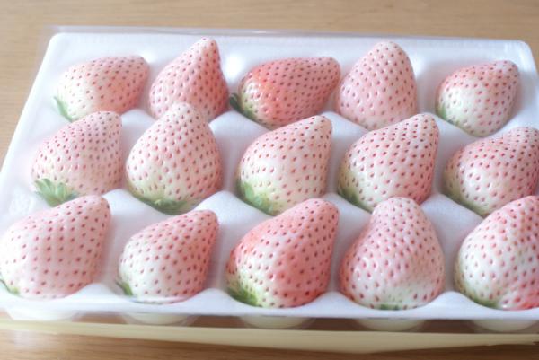Белая клубника - новый тренд в Японии (ФОТО)
