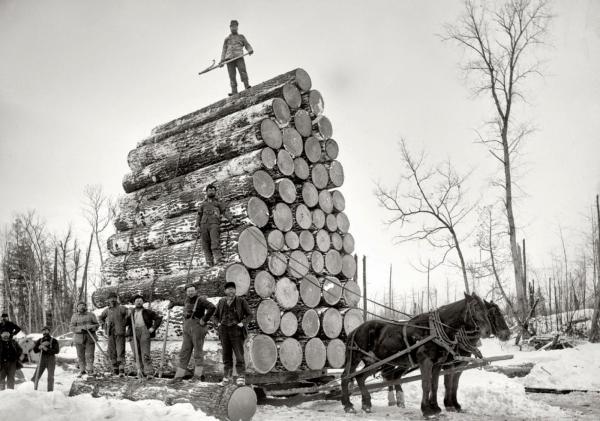 Эра автомобилей. Какой транспорт был у американцев 120 лет назад (ФОТО)