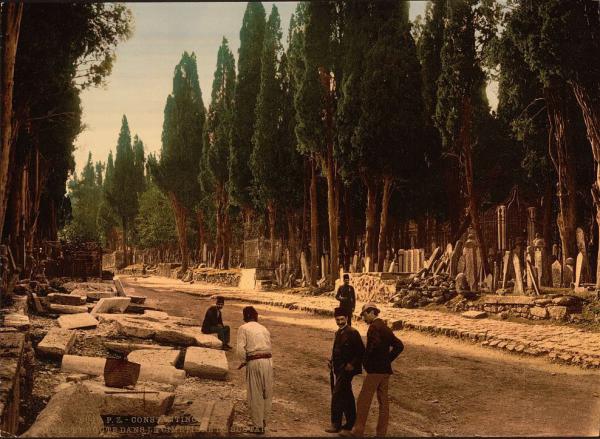 Историческая памятка. Как выглядел Стамбул 100 лет назад (ФОТО)