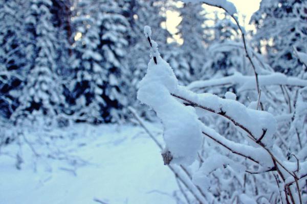 Карелия - путешествие в зимнюю сказку (ФОТО)