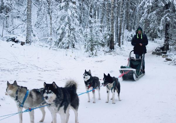 Карелия - путешествие в зимнюю сказку (ФОТО)