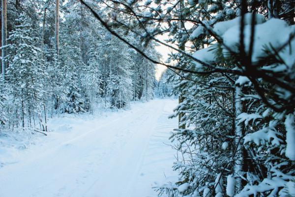Карелия - путешествие в зимнюю сказку (ФОТО)