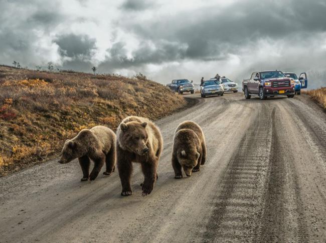 Лучшие январские снимки по версии National Geographic (ФОТО)