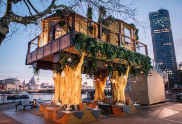 Житель Лондона построил самый роскошный домик на дереве в мире (ФОТО)