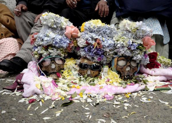 10 ужасных и шокирующих праздников народов мира (ФОТО)