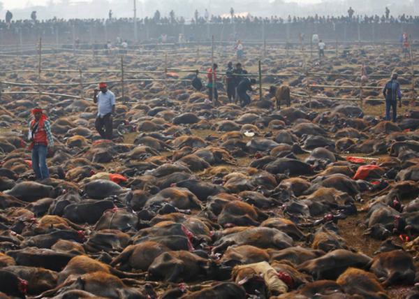 10 ужасных и шокирующих праздников народов мира (ФОТО)