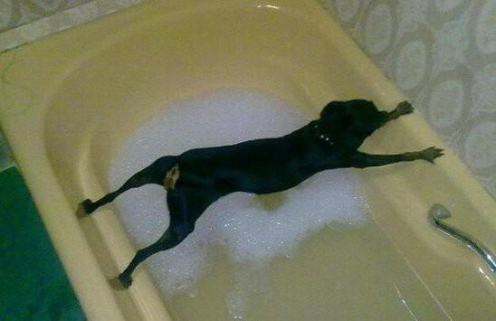 25 улётных фотографий, которые сделаны в подходящий момент (ФОТО)