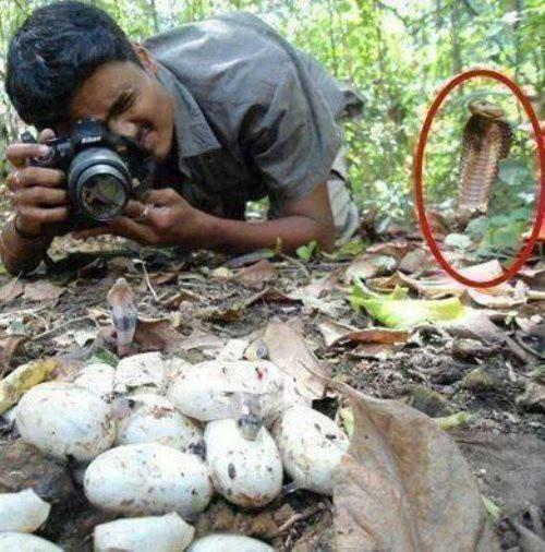 25 человек, у которых был очень плохой день (ФОТО)