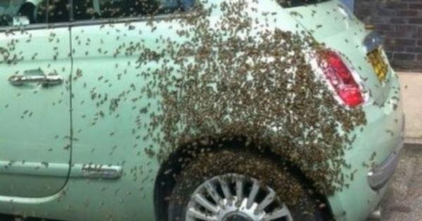 25 человек, у которых был очень плохой день (ФОТО)