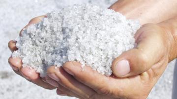 Ученые рассказали, как соль влияет на сердечно-сосудистую систему