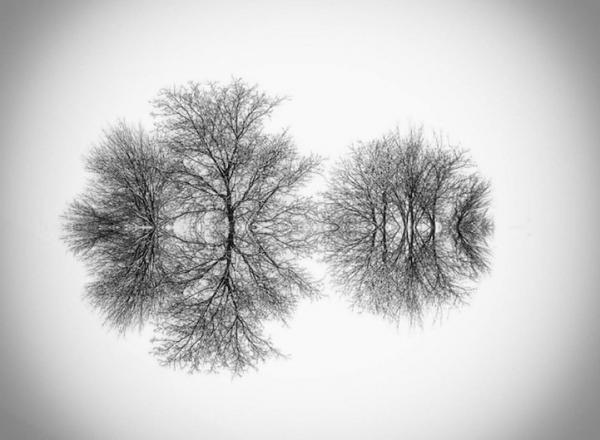 Необычный минимализм. Абстрактные шедевры венгерского фотографа (ФОТО)