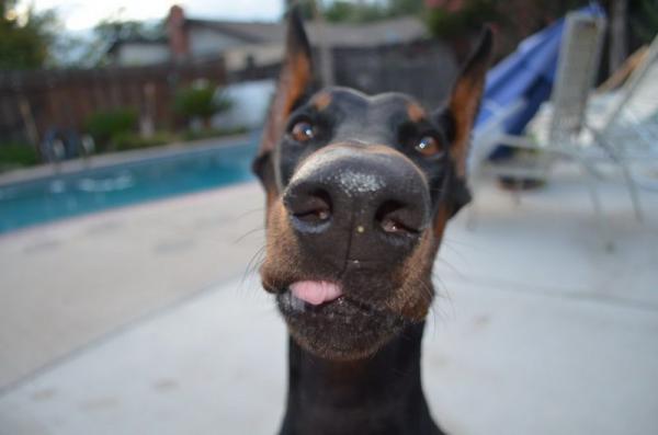 25 улётных фотографий, которые сделаны в подходящий момент (ФОТО)