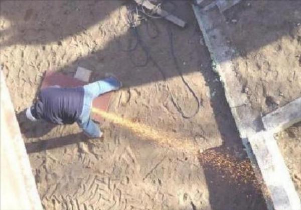 25 улётных фотографий, которые сделаны в подходящий момент (ФОТО)