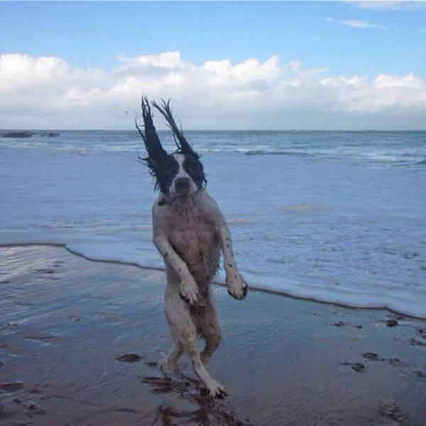 25 улётных фотографий, которые сделаны в подходящий момент (ФОТО)