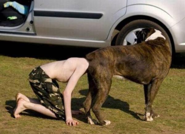 25 улётных фотографий, которые сделаны в подходящий момент (ФОТО)