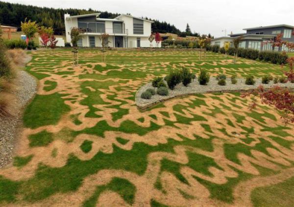 25 человек, у которых был очень плохой день (ФОТО)