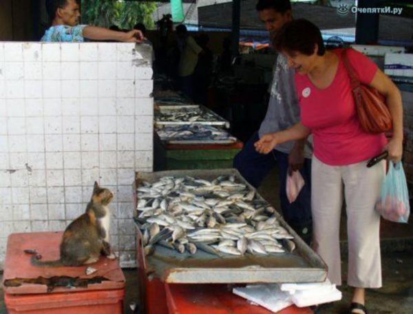 Необычные продавцы, от которых без покупки не уйдешь (ФОТО)