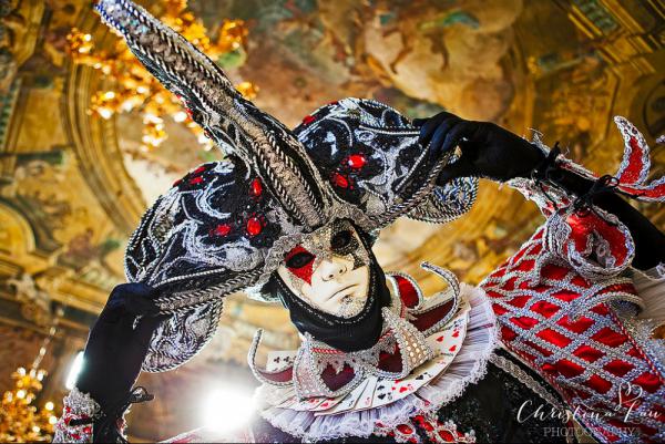 15 наиболее потрясающих костюмов с Венецианского карнавала (ФОТО)